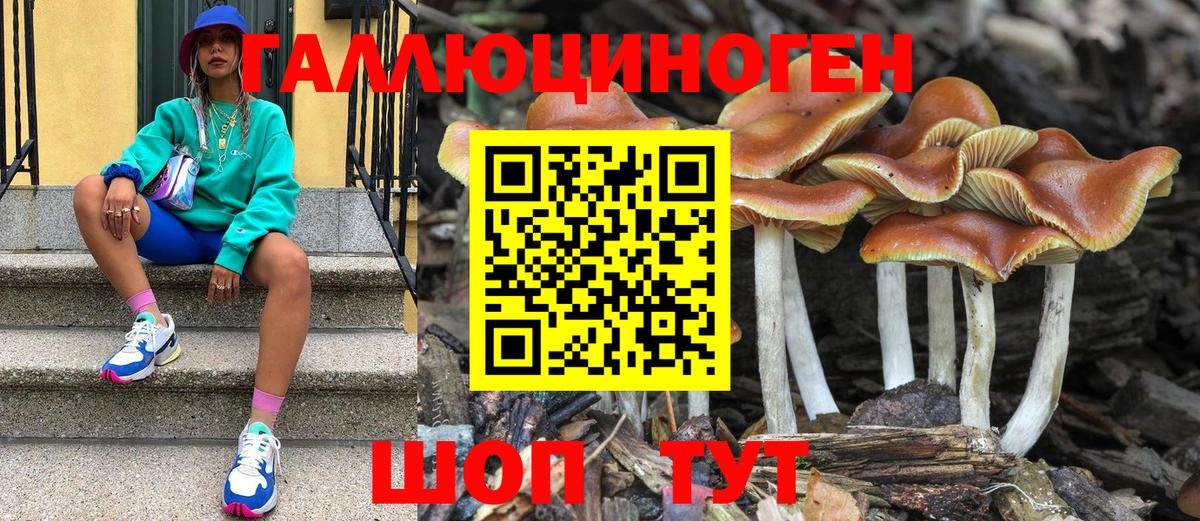 Галлюциногенные грибы Cubensis Топки