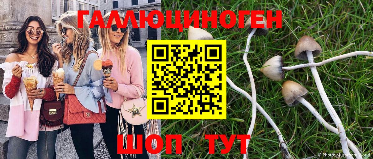 купить наркоту  Псилоцибиновые грибы Psilocybine cubensis  Топки  Вход с VPN  Псилоцибиновые грибы прущие грибы 